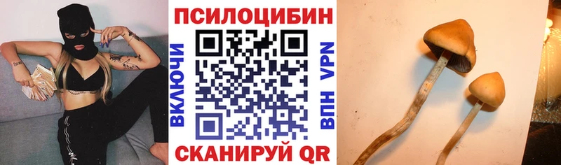 Галлюциногенные грибы Magic Shrooms  Невель 