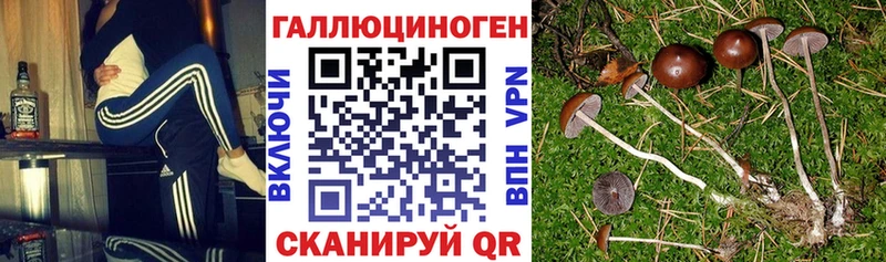 Галлюциногенные грибы MAGIC MUSHROOMS Невель